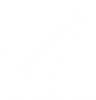 Roviyno Intelligent Technology Co., Limited